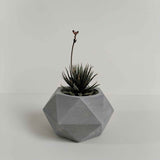 Matera de mesa Adara Petty Gris 7x7cm de Cemento Hexagonal de 0.2 Litros - Jardineria | Bylmo