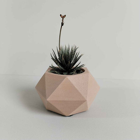 Matera de mesa Adara Petty Nude 7x7cm de Cemento Hexagonal de 0.2 Litros - Jardineria | Bylmo