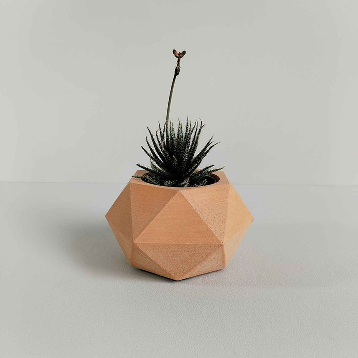Matera de mesa Adara Petty Terracota 7x7cm de Cemento Hexagonal de 0.2 Litros - Jardineria | Bylmo