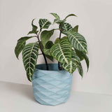Matera de mesa Carlota Azul Petróleo 19x15cm de Cemento Circular de 4.3 Litros - Jardineria | Bylmo