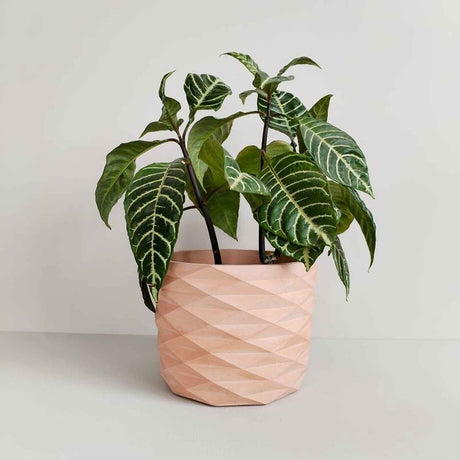 Matera de mesa Carlota Palo de Rosa 19x15cm de Cemento Circular de 4.3 Litros - Jardineria | Bylmo