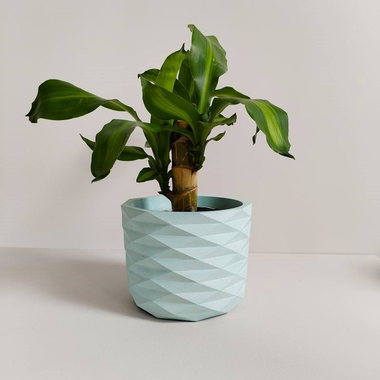 Matera de mesa Carlota Petty Aguamarina 15x13cm de Cemento Circular de 2.3 Litros - Jardineria | Bylmo