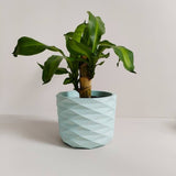 Matera de mesa Carlota Petty Aguamarina 15x13cm de Cemento Circular de 2.3 Litros - Jardineria | Bylmo