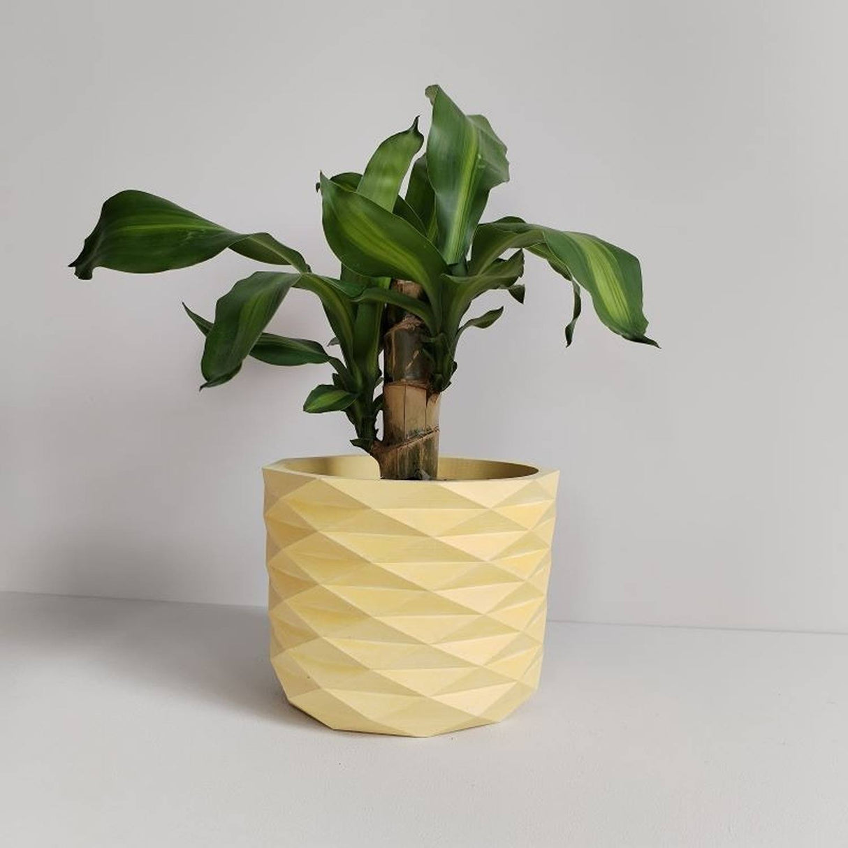 Matera de mesa Carlota Petty Amarillo 15x13cm de Cemento Circular de 2.3 Litros - Jardineria | Bylmo