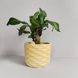 Matera de mesa Carlota Petty Amarillo 15x13cm de Cemento Circular de 2.3 Litros - Jardineria | Bylmo