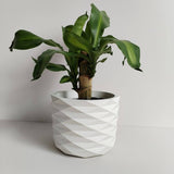 Matera de mesa Carlota Petty Blanco 15x13cm de Cemento Circular de 2.3 Litros - Jardineria | Bylmo