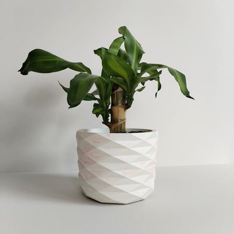 Matera de mesa Carlota Petty Mármol Rosa 15x13cm de Cemento Circular de 2.3 Litros - Jardineria | Bylmo