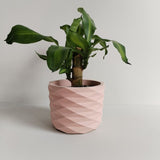 Matera de mesa Carlota Petty Palo de Rosa 15x13cm de Cemento Circular de 2.3 Litros - Jardineria | Bylmo