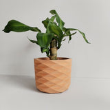 Matera de mesa Carlota Petty Terracota 15x13cm de Cemento Circular de 2.3 Litros - Jardineria | Bylmo