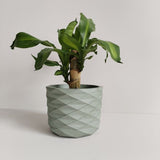 Matera de mesa Carlota Petty Verde Oliva 15x13cm de Cemento Circular de 2.3 Litros - Jardineria | Bylmo