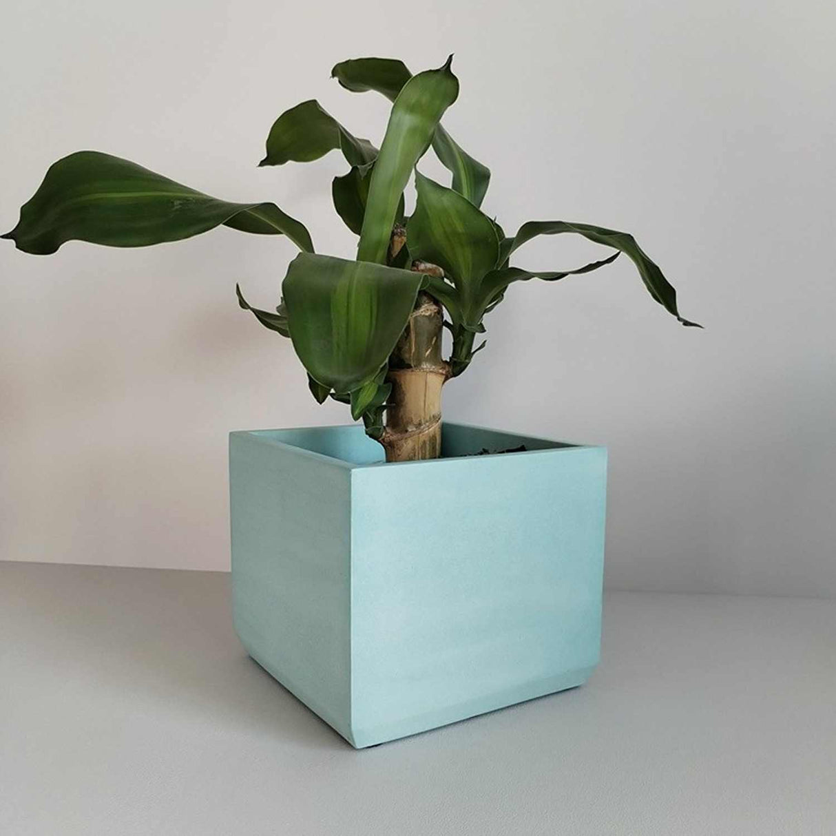 Matera de mesa Eloisa Aguamarina 15x15cm de Cemento Cuadrado de 3.4 Litros - Jardineria | Bylmo