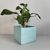 Matera de mesa Eloisa Aguamarina 15x15cm de Cemento Cuadrado de 3.4 Litros - Jardineria | Bylmo