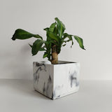 Matera de mesa Eloisa Mármol Negro 15x15cm de Cemento Cuadrado de 3.4 Litros - Jardineria | Bylmo
