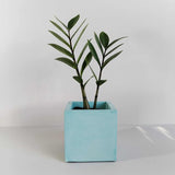 Matera de mesa Eloisa Petty Aguamarina 12x12cm de Cemento Cuadrado de 1.7 Litros - Jardineria | Bylmo