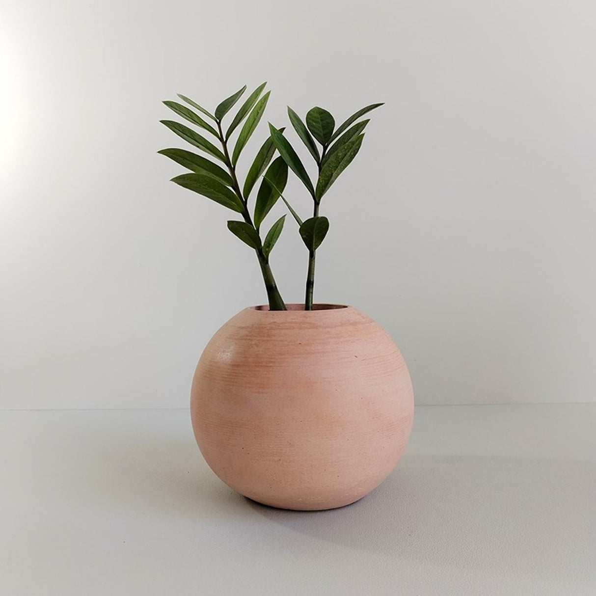 Matera de mesa Luna Palo de Rosa 12x12cm de Cemento Circular de 1.4 Litros - Jardineria | Bylmo