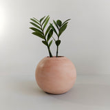 Matera de mesa Luna Palo de Rosa 12x12cm de Cemento Circular de 1.4 Litros - Jardineria | Bylmo